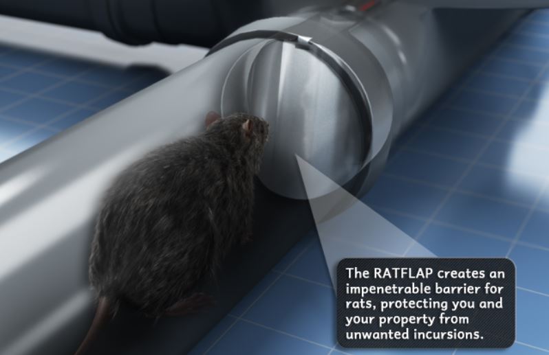 rat flap rat blocker drains pipes